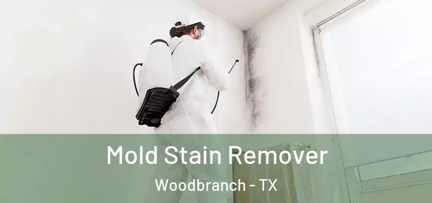  Mold Stain Remover Woodbranch - TX