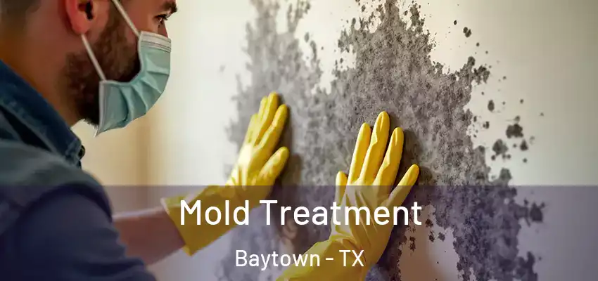  Mold Treatment Baytown - TX