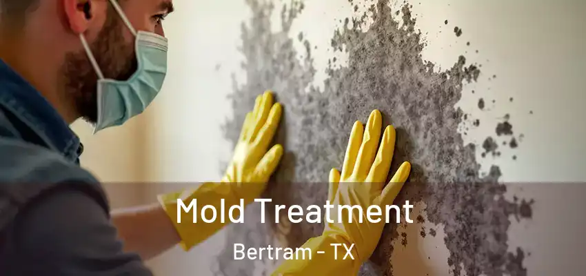  Mold Treatment Bertram - TX