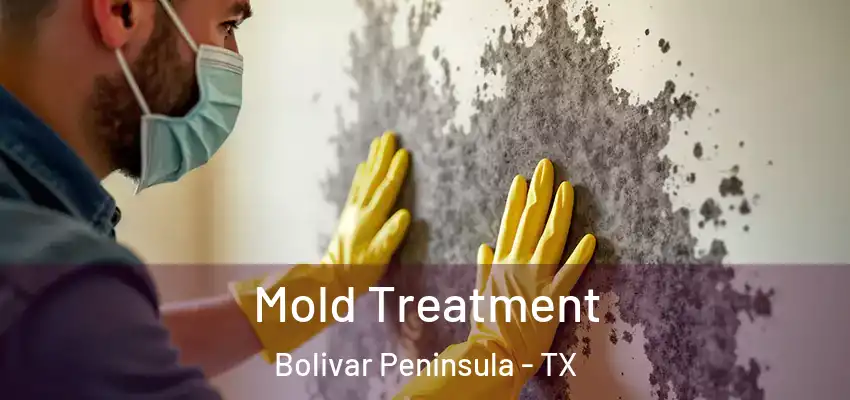 Mold Treatment Bolivar Peninsula - TX