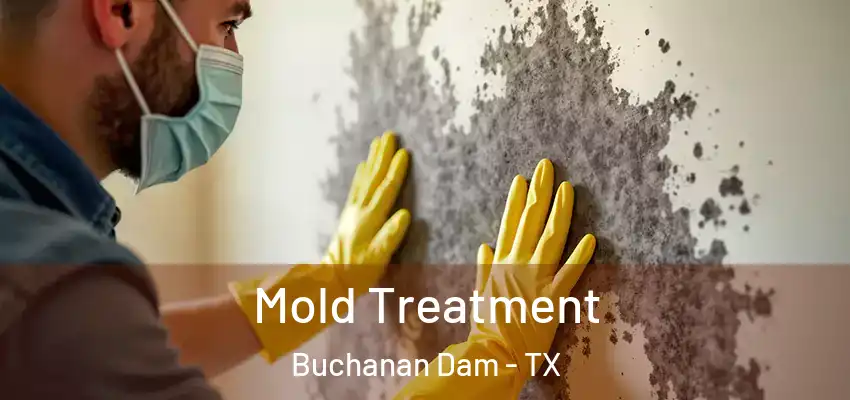  Mold Treatment Buchanan Dam - TX