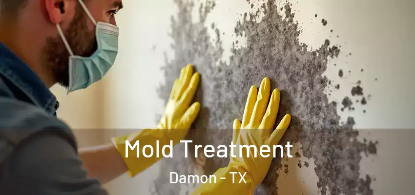  Mold Treatment Damon - TX