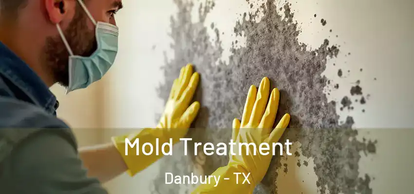  Mold Treatment Danbury - TX