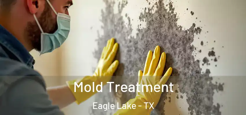  Mold Treatment Eagle Lake - TX