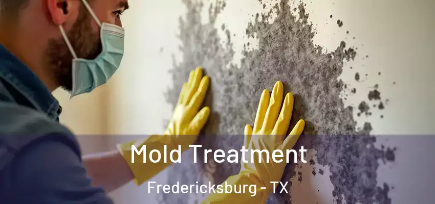  Mold Treatment Fredericksburg - TX