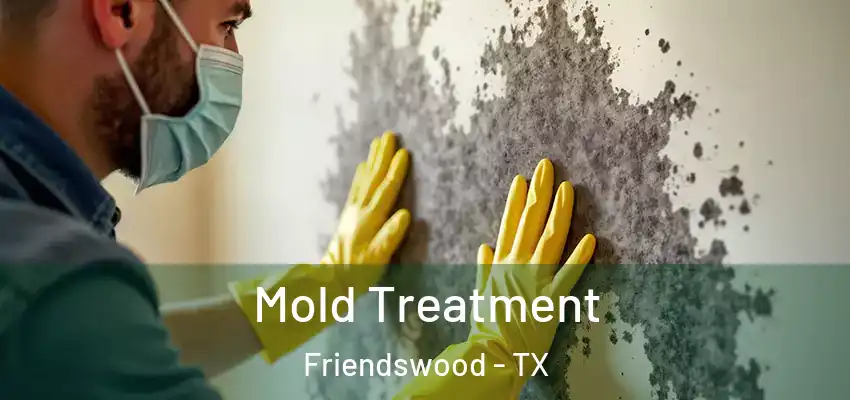 Mold Treatment Friendswood - TX