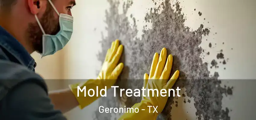  Mold Treatment Geronimo - TX
