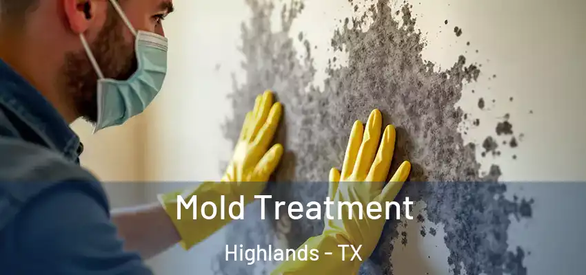 Mold Treatment Highlands - TX