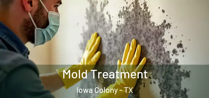 Mold Treatment Iowa Colony - TX