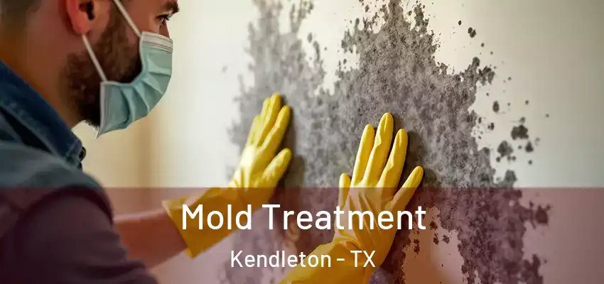 Mold Treatment Kendleton - TX
