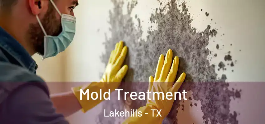 Mold Treatment Lakehills - TX