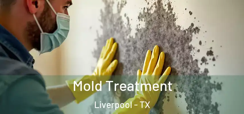  Mold Treatment Liverpool - TX