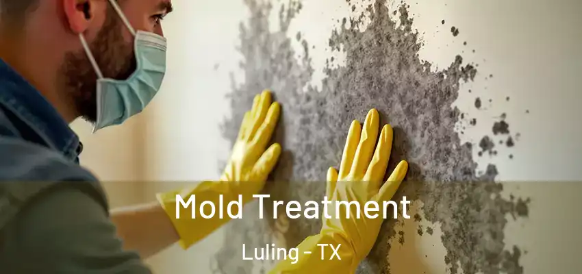  Mold Treatment Luling - TX