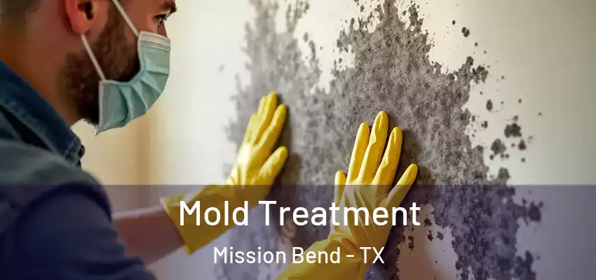  Mold Treatment Mission Bend - TX