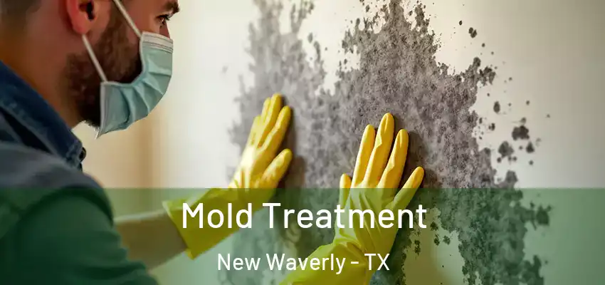 Mold Treatment New Waverly - TX