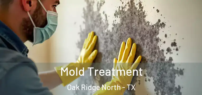 Mold Treatment Oak Ridge North - TX