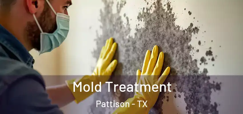 Mold Treatment Pattison - TX