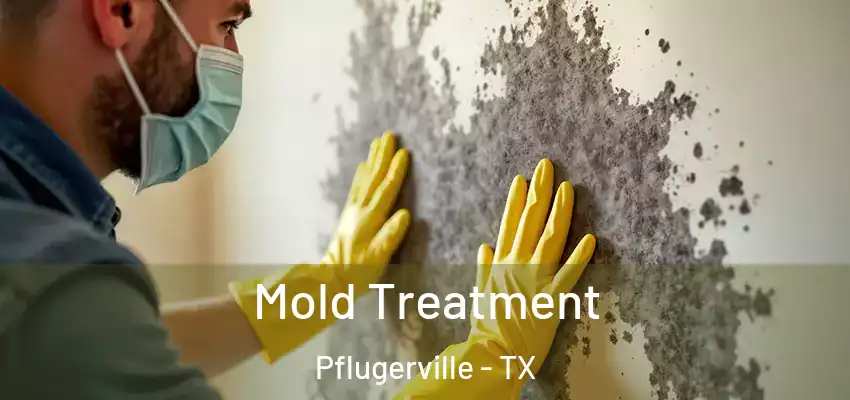 Mold Treatment Pflugerville - TX
