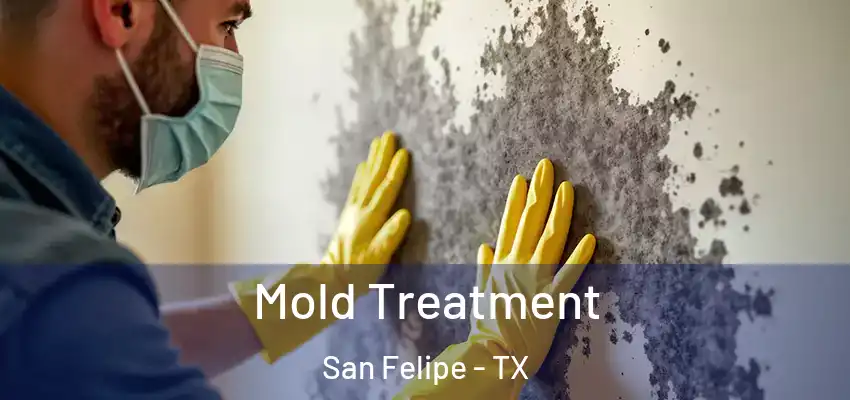 Mold Treatment San Felipe - TX