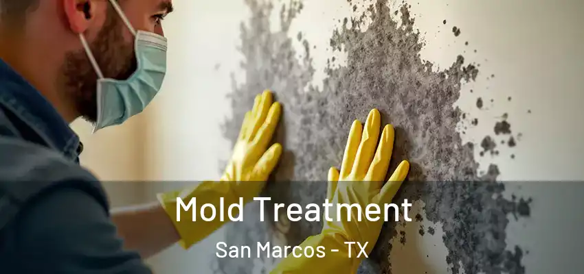  Mold Treatment San Marcos - TX