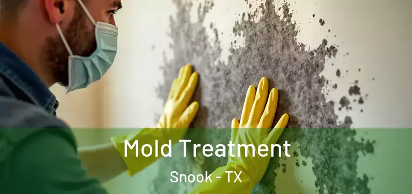  Mold Treatment Snook - TX