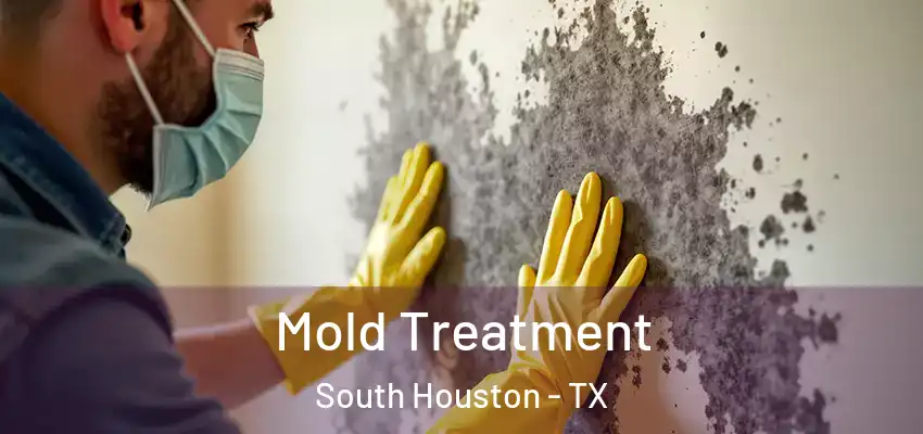 Mold Treatment South Houston - TX