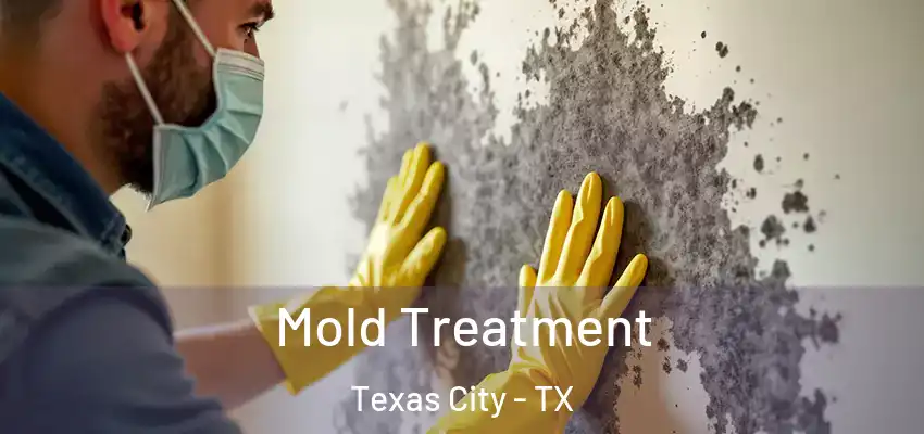  Mold Treatment Texas City - TX