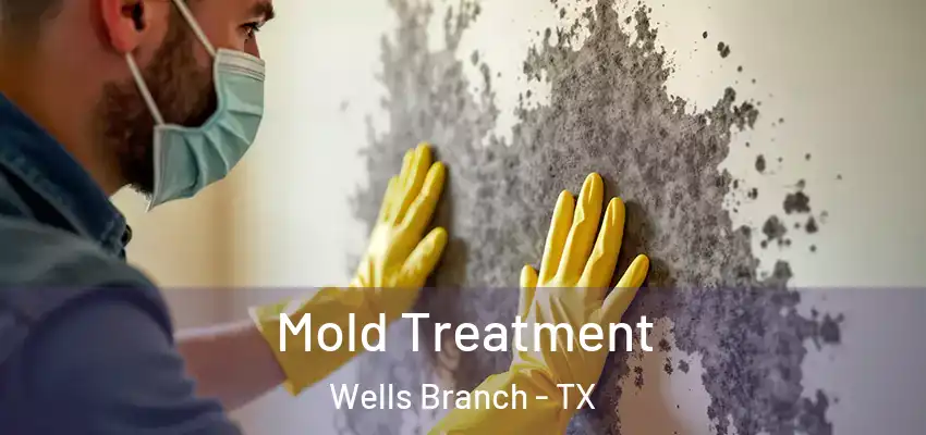  Mold Treatment Wells Branch - TX
