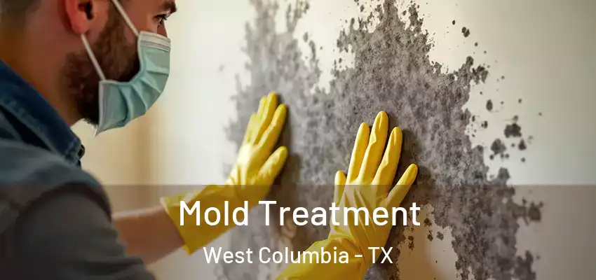 Mold Treatment West Columbia - TX