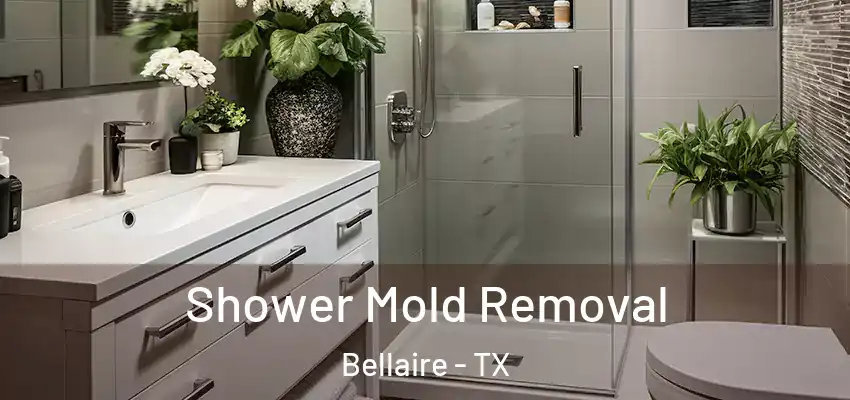  Shower Mold Removal Bellaire - TX