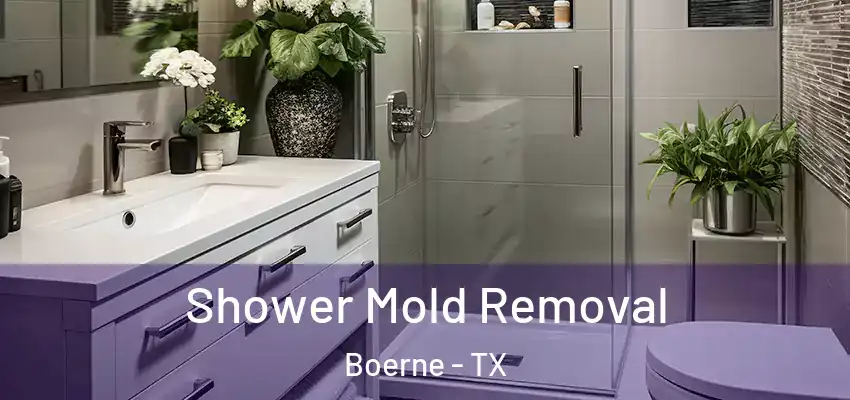  Shower Mold Removal Boerne - TX