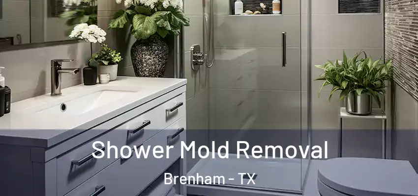 Shower Mold Removal Brenham - TX