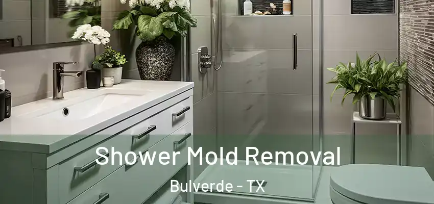 Shower Mold Removal Bulverde - TX