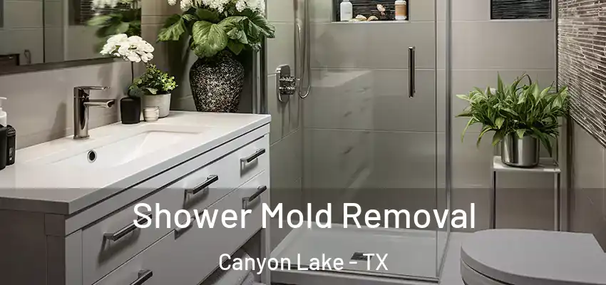  Shower Mold Removal Canyon Lake - TX