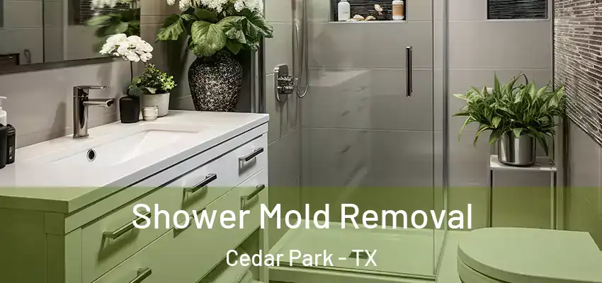 Shower Mold Removal Cedar Park - TX