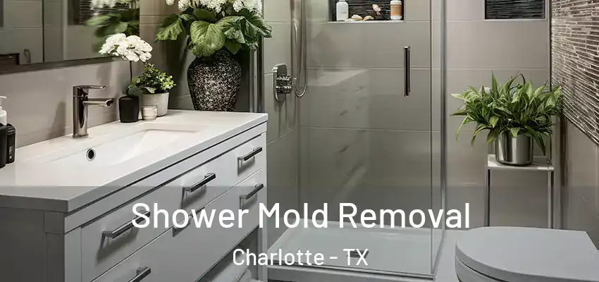  Shower Mold Removal Charlotte - TX