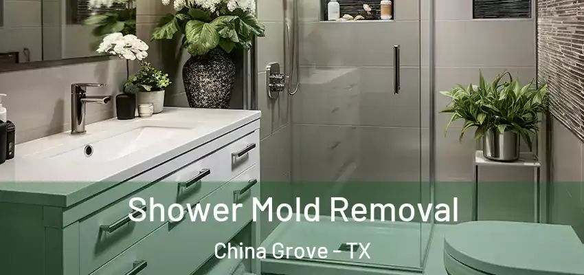 Shower Mold Removal China Grove - TX