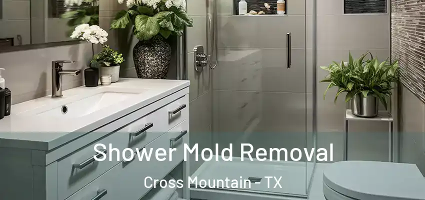  Shower Mold Removal Cross Mountain - TX