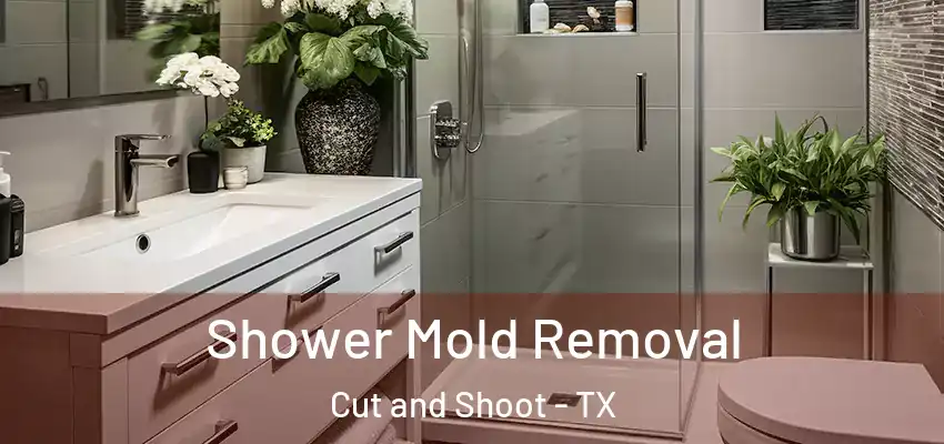 Shower Mold Removal Cut and Shoot - TX