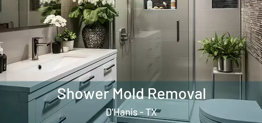 Shower Mold Removal D'Hanis - TX