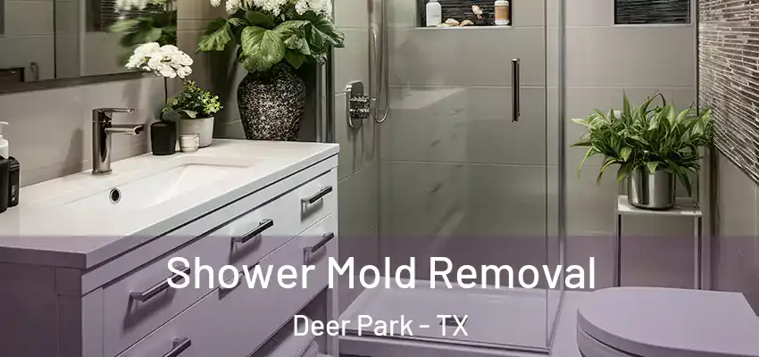  Shower Mold Removal Deer Park - TX