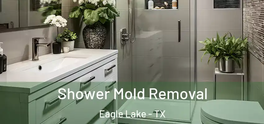  Shower Mold Removal Eagle Lake - TX