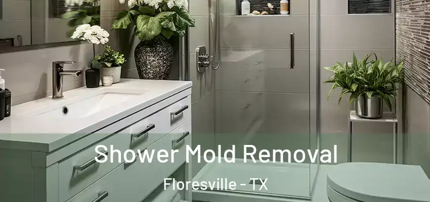 Shower Mold Removal Floresville - TX