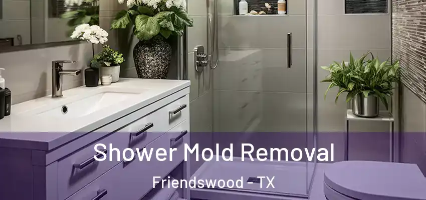  Shower Mold Removal Friendswood - TX