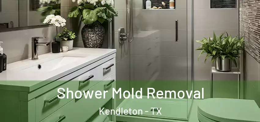 Shower Mold Removal Kendleton - TX