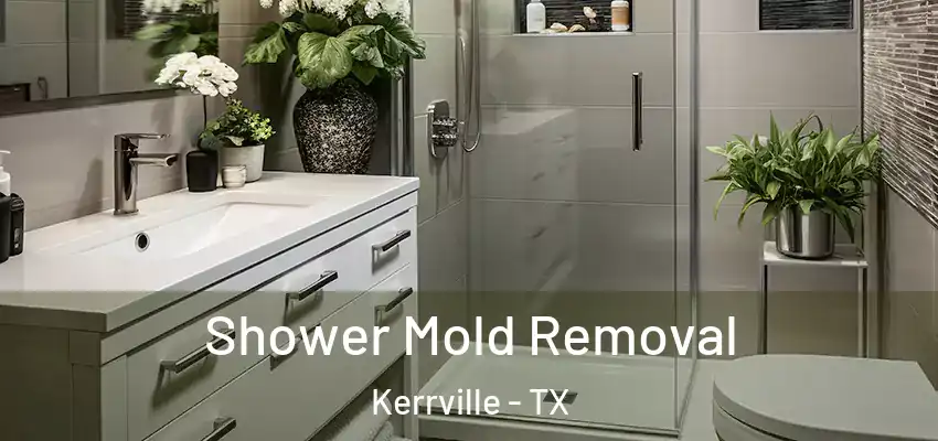 Shower Mold Removal Kerrville - TX