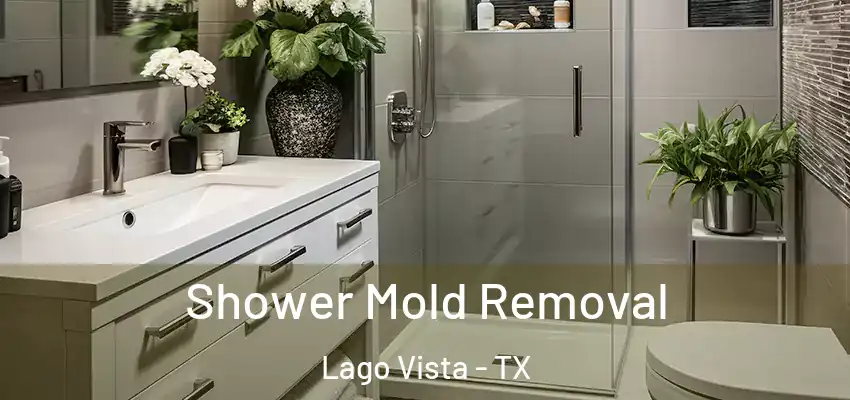  Shower Mold Removal Lago Vista - TX