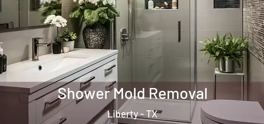  Shower Mold Removal Liberty - TX