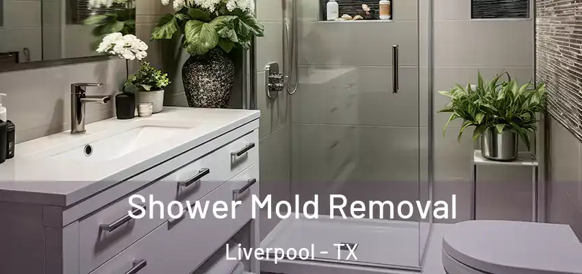  Shower Mold Removal Liverpool - TX