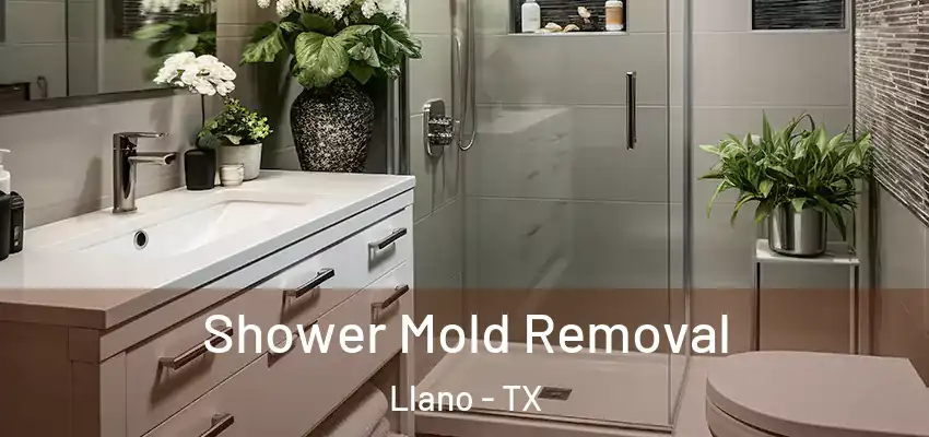  Shower Mold Removal Llano - TX